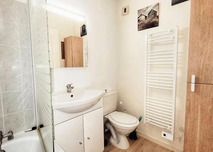 Antares - - T2 A Deux Pas Du Centre-ville Et De La Mae-9284 *