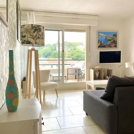 Apartment Antares - - T2 A Deux Pas Du Centre-ville Et De La Mae-9284